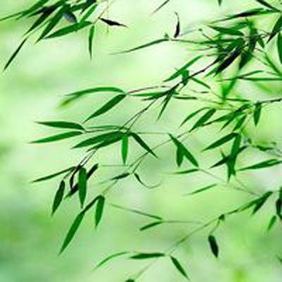 果盘斗三国手游下载