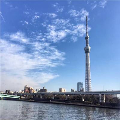 生存计划测试服下载